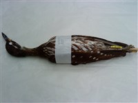 綠簑鷺藏品圖，第2張
